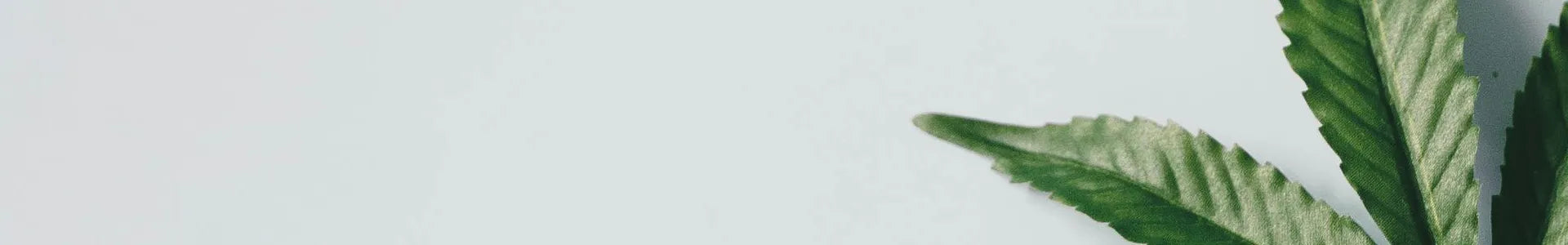 Bulk Pre-Rolled Cones | Wholesale Pre-Roll Cones