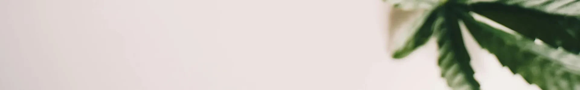 Bulk Pre-Rolled Tubes | Wholesale Pre-Roll Tubes